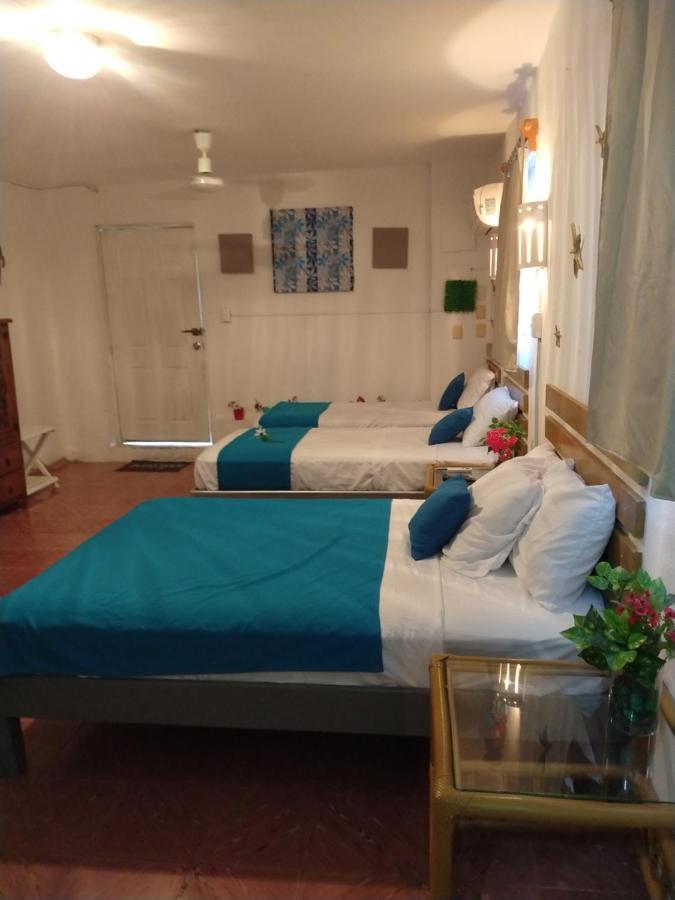 Casa San Miguel 1 Lejlighed Cozumel Eksteriør billede
